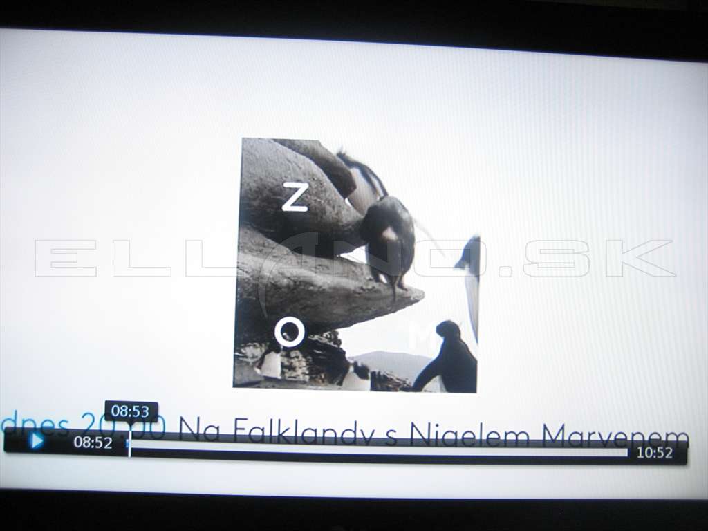 IMG 0265